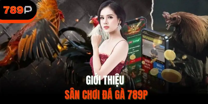 Giới thiệu sân chơi đá gà 789P