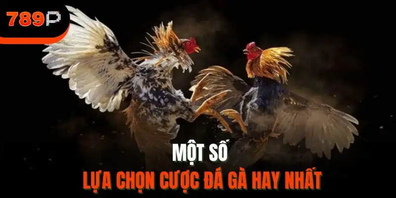 Một số lựa chọn cược đá gà hay nhất